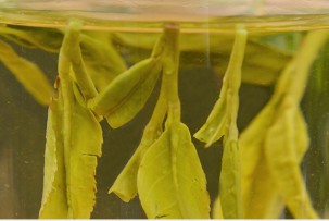Зеленый чай «Чжу Е Цзин» Свежесть Бамбуковых Листьев 100 г